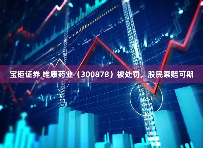 宝钜证券 维康药业（300878）被处罚，股民索赔可期