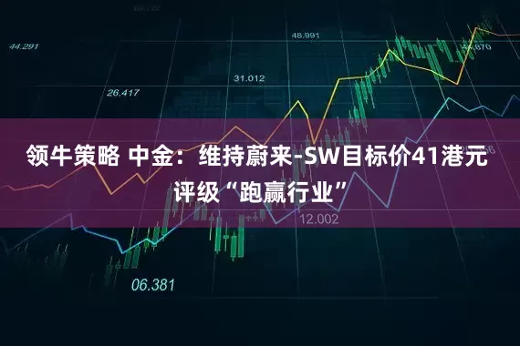 领牛策略 中金：维持蔚来-SW目标价41港元 评级“跑赢行业”