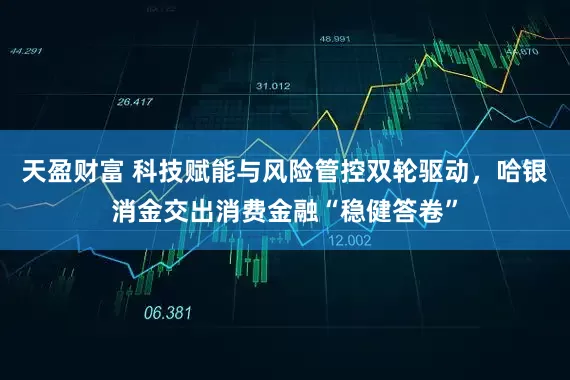 天盈财富 科技赋能与风险管控双轮驱动，哈银消金交出消费金融“稳健答卷”