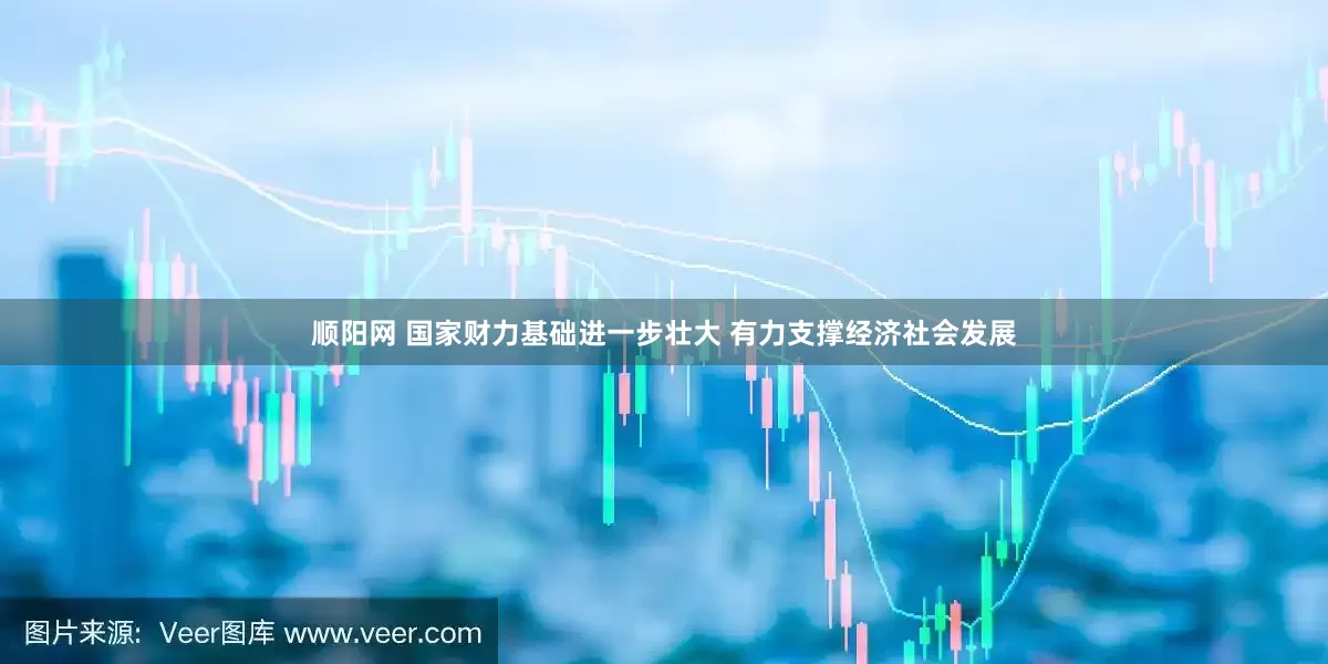 顺阳网 国家财力基础进一步壮大 有力支撑经济社会发展