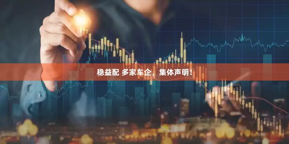 稳益配 多家车企，集体声明！